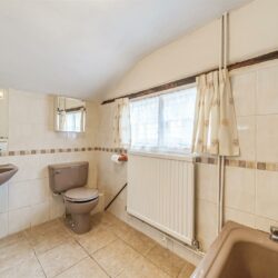 Thumbnail Image 13