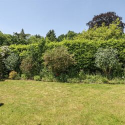 Thumbnail Image 20