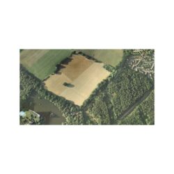 Thumbnail Image 17