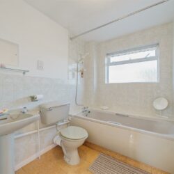 Thumbnail Image 12