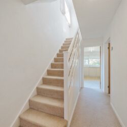 Thumbnail Image 7