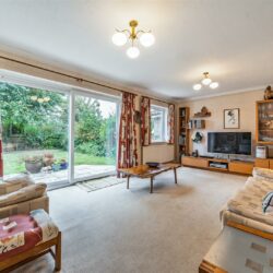 Thumbnail Image 1