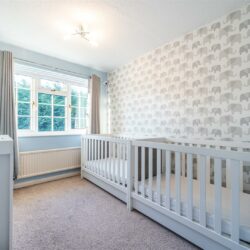 Thumbnail Image 12