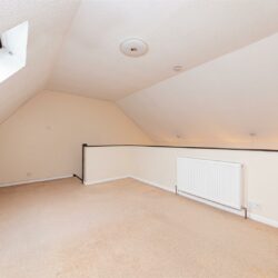 Thumbnail Image 12