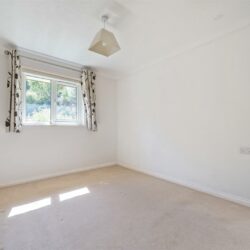 Thumbnail Image 12