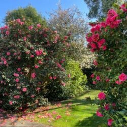 Thumbnail Image 25