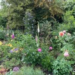 Thumbnail Image 26