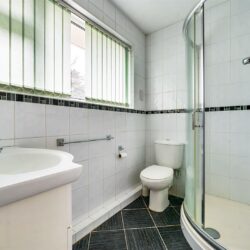 Thumbnail Image 12