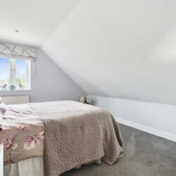 Thumbnail Image 22