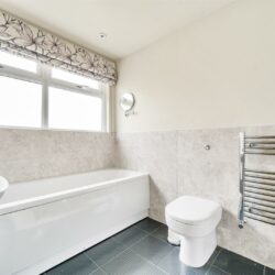 Thumbnail Image 25