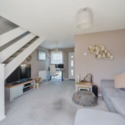 Thumbnail Image 1