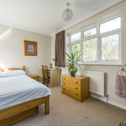 Thumbnail Image 11