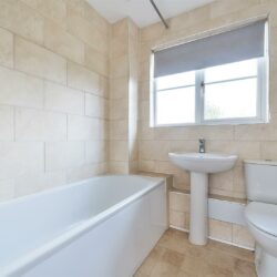 Thumbnail Image 11