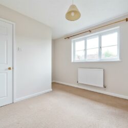 Thumbnail Image 12