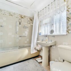 Thumbnail Image 12