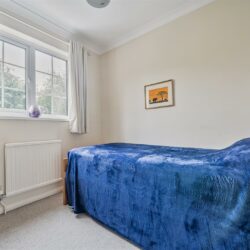 Thumbnail Image 13