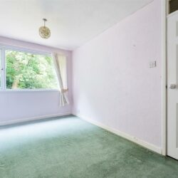 Thumbnail Image 10