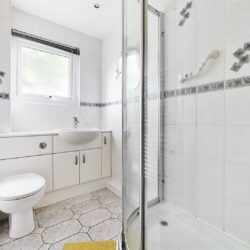 Thumbnail Image 12