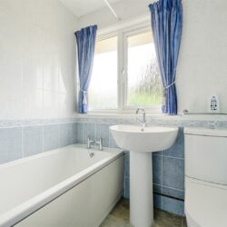 Thumbnail Image 10