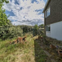 Thumbnail Image 16