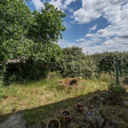 Thumbnail Image 18