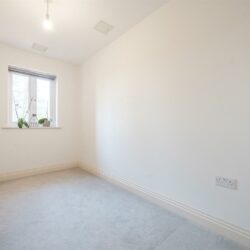 Thumbnail Image 12