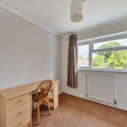 Thumbnail Image 13