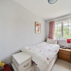 Thumbnail Image 15