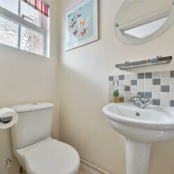 Thumbnail Image 8