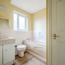 Thumbnail Image 17