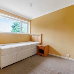Thumbnail Image 12