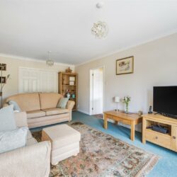 Thumbnail Image 5