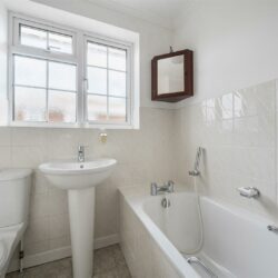 Thumbnail Image 15