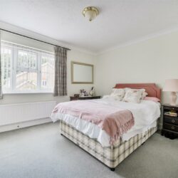 Thumbnail Image 10