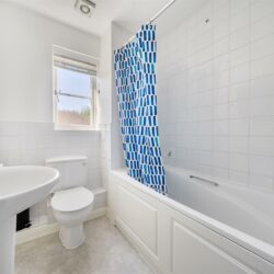 Thumbnail Image 13