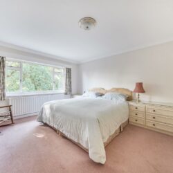 Thumbnail Image 13