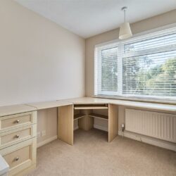 Thumbnail Image 13