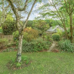 Thumbnail Image 17