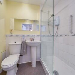 Thumbnail Image 11