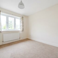 Thumbnail Image 12