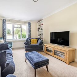 Thumbnail Image 8