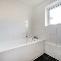 Thumbnail Image 13