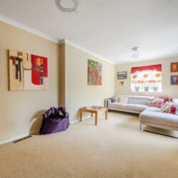 Thumbnail Image 11