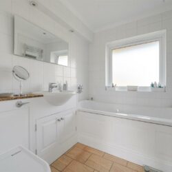 Thumbnail Image 17