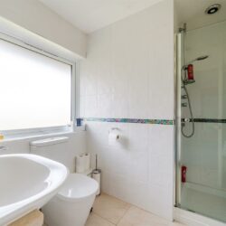Thumbnail Image 20