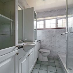 Thumbnail Image 12
