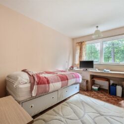 Thumbnail Image 13