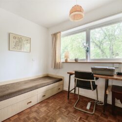 Thumbnail Image 14