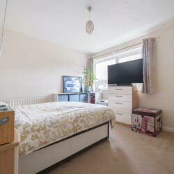 Thumbnail Image 11