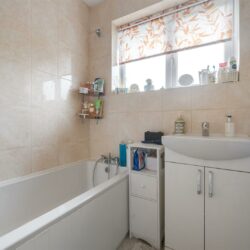 Thumbnail Image 12